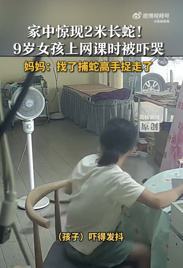 女孩上网课脚边惊现2米长蛇