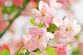 六亲缘浅的人就不要奢望会有什么人是真心对待自己的了。图片