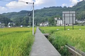 回农村建房，不要梦想着做院子，搭凉亭、搭花架，在花丛中喝茶图片