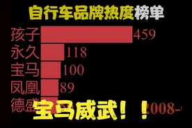 自行车品牌热度，排行榜