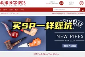 最大烟斗网站SP，踩坑记 #烟斗客 #烟斗收藏 #海淘好物