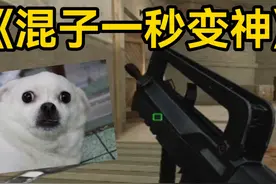 CF混子用了直接超神的武器？法玛斯G2！每个皮肤我都超爱！视频封面