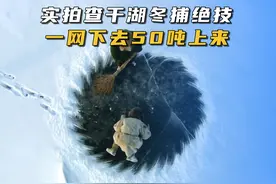 实拍查干湖神奇的冬捕绝技，一网下去上百吨鱼上来 #纪录片视频封面