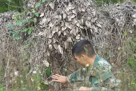 老爸年纪也大了，不敢让他太劳累。我和老妈都是想着种些好管理的