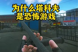 为什么塔科夫是款恐怖游戏？逃离塔科夫 #万千年味灯火中国