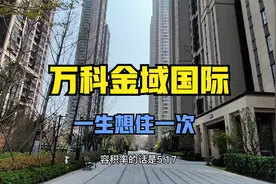 武汉-万科金域国际视频封面
