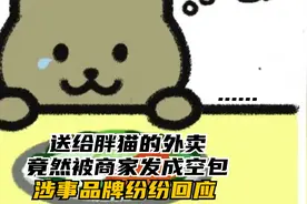 送给胖猫的外卖，竟然被商家发成空包，涉事品牌纷纷回应。视频封面