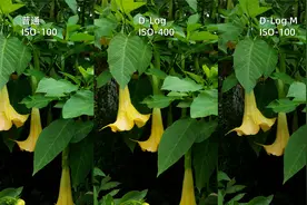 D-Log色彩模式和D-Log M色彩模式有什么区别？