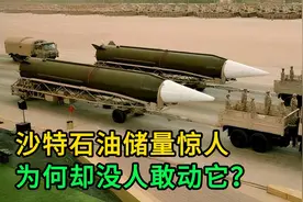 沙特石油储量惊人，为何却没人敢动它？视频封面