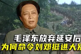 1947年毛主席放弃延安后，刘邓大军受命挺进大别山，为何这样安排视频封面