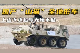 国产“山猫”全地形车，上山下水越障无所不能，民企军工传奇！视频封面