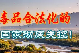 大麻合法化的国家们，开始失控了，可喜可贺！视频封面