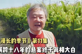 2023最新悬疑大作《漫长的季节》，横跨十八年的悬案终于真相大白视频封面