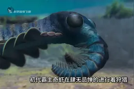 一口气看完地球46亿年生命演化史，献给每一位存在过的生灵视频封面