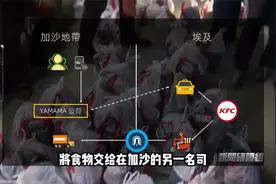 加沙地道附带跨境配送业务？从埃及到加沙的肯德基经历了什么？视频封面