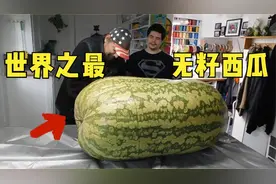世界上最大的西瓜，重达200斤，1个够全村人吃1整天！视频封面
