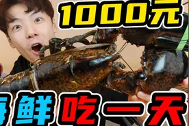 挑战1000元海鲜吃一天！来一场真正的海鲜自由究竟是种怎样的体验视频封面