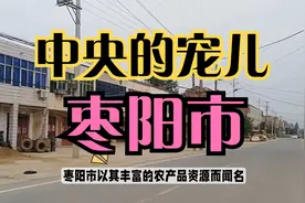 百强县之湖北枣阳市——中央的宠儿视频封面