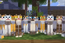 小猫咪一个人在家没意思，但却来了不速之客？中集！