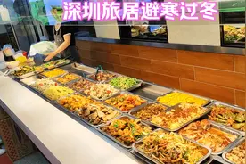 一线城市深圳，旅居过冬，温暖舒适，价格便宜的不敢相信