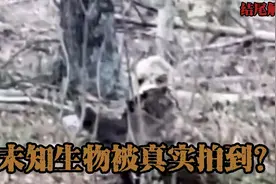 男子在野外竟意外拍到某种未知生物？他究竟是什么？（结尾解释）视频封面
