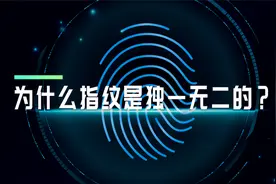 我们的指纹为什么是独一无二的？科普小知识视频封面
