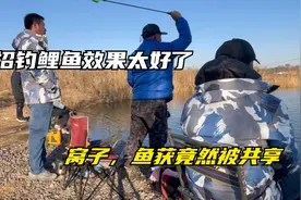 新学一招钓鲤鱼，效果简直太好了，鱼获和窝子竟然都被共享了视频封面