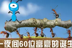 解密蚂蚁金服上市神话：60位亿万富翁的诞生视频封面