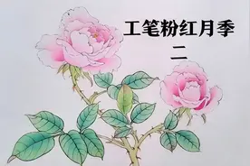 国画工笔粉红色月季花画法，绘画技巧要领，罩染提染技法教程二