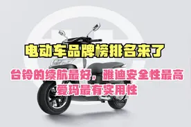 台铃的续航最好，雅迪安全性最高，爱玛最有实用性，有什么依据？视频封面