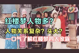 红楼梦人物多？头大？一口气了解红楼梦四大家族视频封面