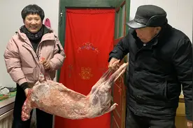 马上过年了，姑爷给老丈人送了一整只羊，孝顺父母，福报绵长视频封面