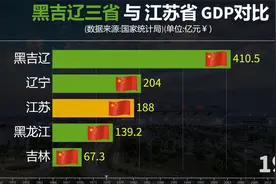黑吉辽与江苏省GDP对比，苏大强有多牛,赶上三省之和！