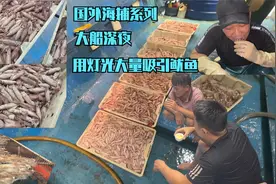 渔民捕捞鱿鱼，深夜用灯光吸引沉网捕捞鱿鱼群，海捕也要讲智慧的