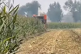 山西侯马警方通报“有人故意在玉米杆上绑钢筋损坏收割机”视频封面