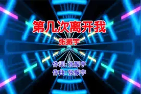 张振宇 - 第几次离开我(Dj夜猫Music ProgHouse Mix国语男)视频封面