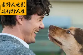 两年四百英里，狗狗独自回家寻找主人视频封面