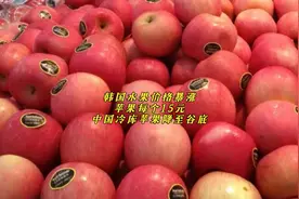 韩国水果价格暴涨，苹果每个15元！中国冷库苹果降至谷底视频封面