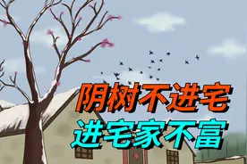 老祖宗说“阴树不进宅，进宅家不富”，下面3种阴树，你家有吗？视频封面