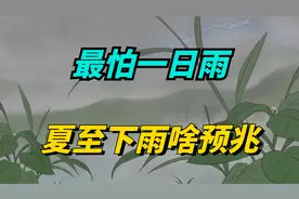 明日夏至，老人说最怕“一日雨”，夏至下雨有啥预兆？看农谚咋说
