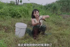 都说端午前后的黄鳝要咬人，原来是真的啊！#我的乡村生活