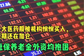 十大医药股被机构悄悄买入，近期还在加仓，社保养老金外资均抱团视频封面