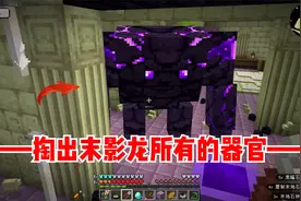 我的世界脆骨症生存14：掏出末影龙所有的器官！