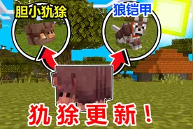 我的世界1.21犰狳更新了！狼铠是鸡肋？！