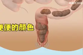 为什么便便的颜色是棕色的？而且还散发着臭味。视频封面