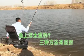 初春升温鱼上浮很难钓？三种方法来应对，照样可以钓过瘾