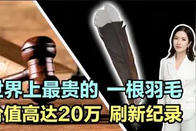 世界上最贵的一根羽毛，价值20万刷新纪录！视频封面