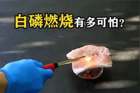 人的皮肤沾到白磷有多可怕？将它放在猪肉上，看结果就知道