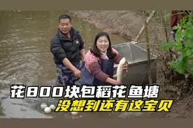 花800块包下稻花鱼塘，连拉三网没想到还有宝贝，最后培培这样做视频封面