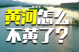 黄河居然不黄了！变清澈预示着什么？视频封面